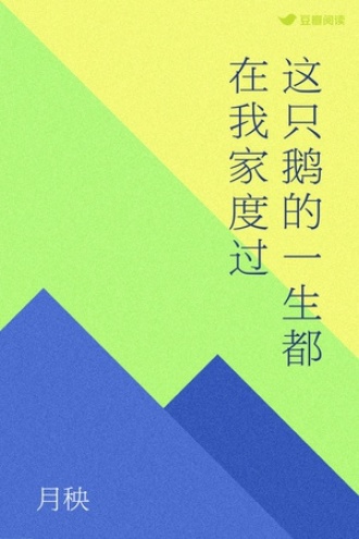 这只鹅的一生都在我家度过