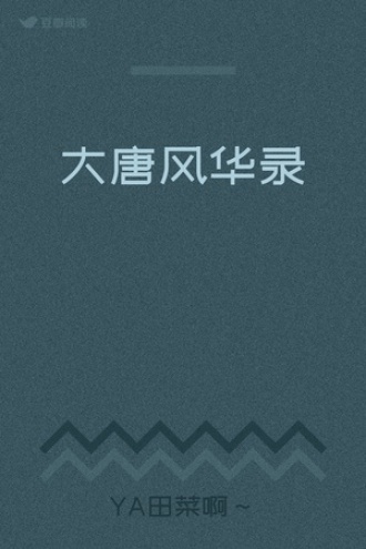 大唐风华录