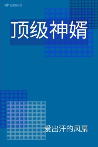 顶级神婿