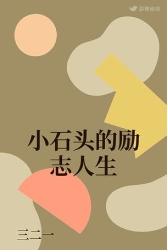 小石头的励志人生