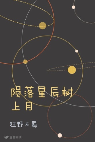 陨落星辰树上月