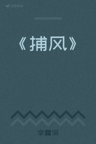 《捕风》