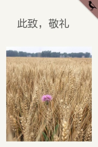 此致，敬礼