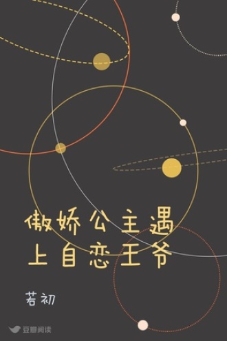 傲娇公主遇上自恋王爷