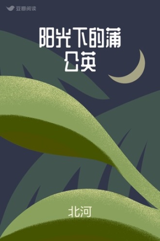 阳光下的蒲公英