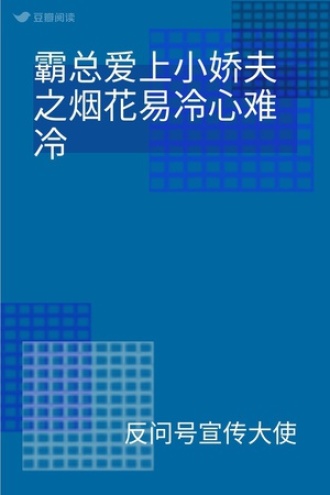 霸总爱上小娇夫之烟花易冷心难冷