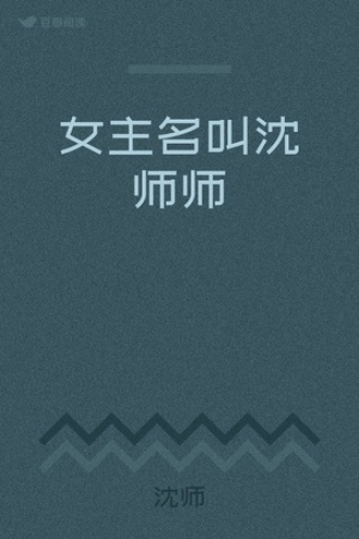 女主名叫沈师师
