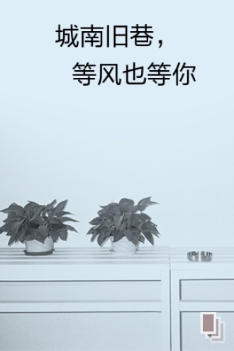 城南旧巷，等风也等你