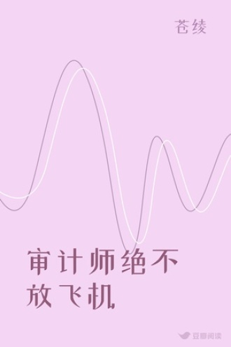 审计师绝不放飞机