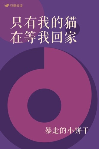 只有我的猫在等我回家