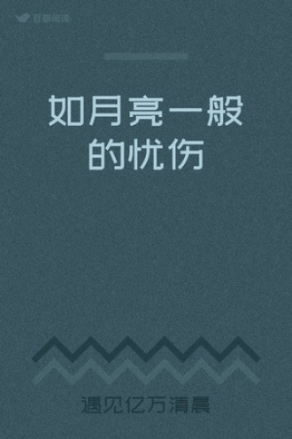 如月亮一般的忧伤