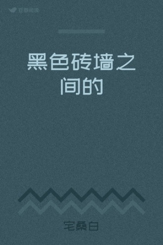 黑色砖墙之间的