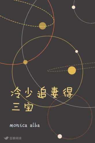 冷少追妻得三宝