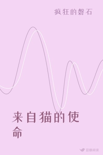 来自猫的使命