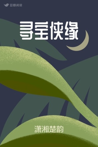 寻宝侠缘
