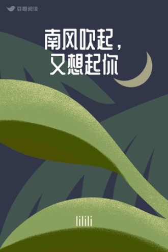 南风吹起，又想起你