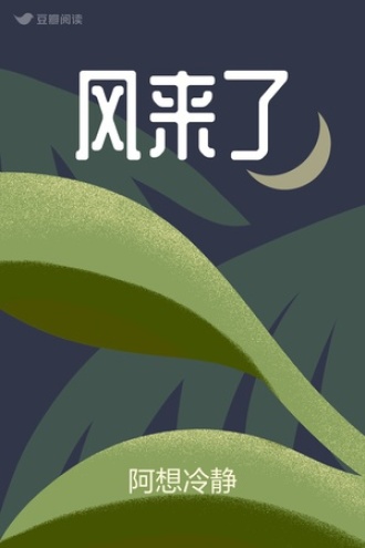 风来了