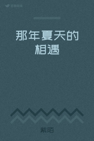 那年夏天的相遇