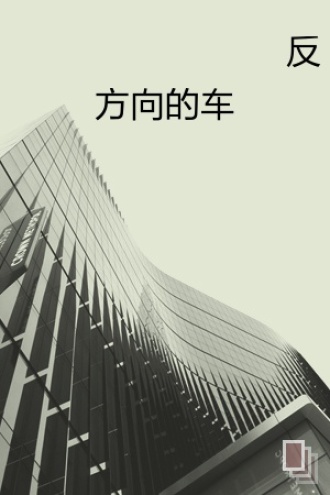 反方向的车