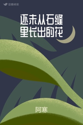 还未从石缝里长出的花