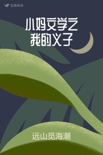 小妈文学之我的义子
