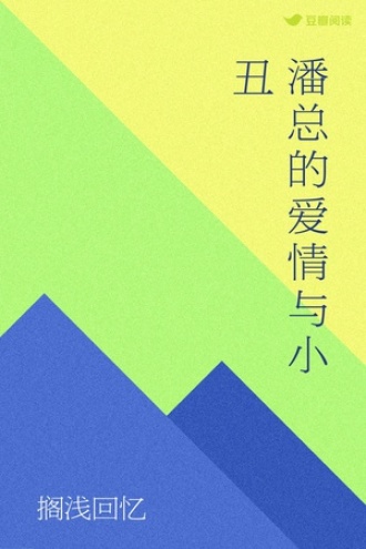 潘总的爱情与小丑