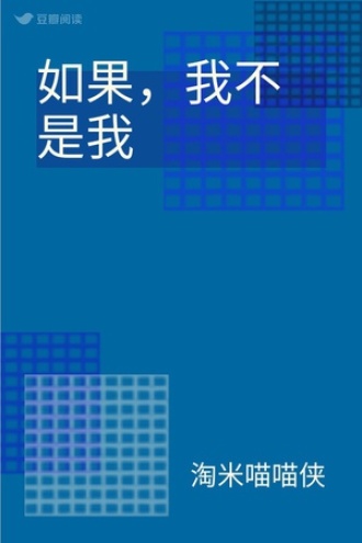 如果，我不是我