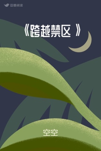 《跨越禁区》
