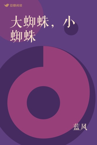 大蜘蛛，小蜘蛛