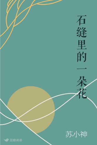 石缝里的一朵花