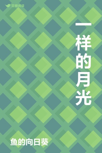 一样的月光