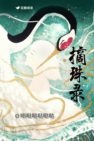 摘珠录