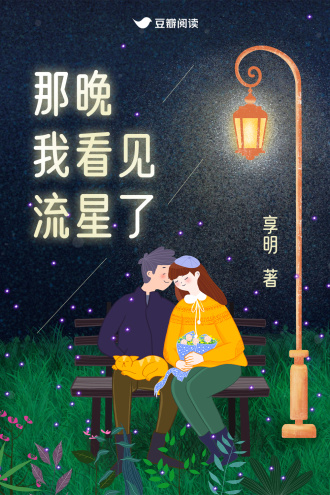 那晚我看见流星了
