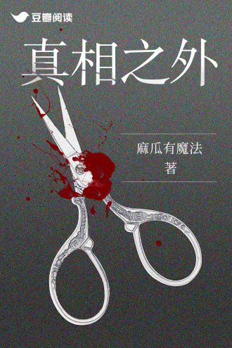 真相之外