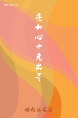 亮如心中无出寻