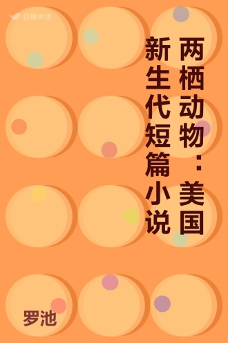 两栖动物：美国新生代短篇小说