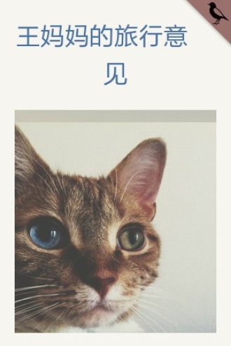 王妈妈的旅行意见