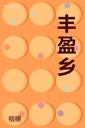丰盈乡