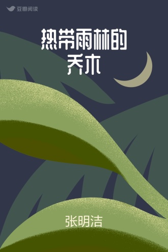 热带雨林的乔木