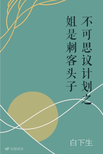 不可思议计划之姐是刺客头子