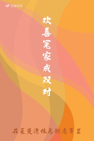 欢喜冤家成双对