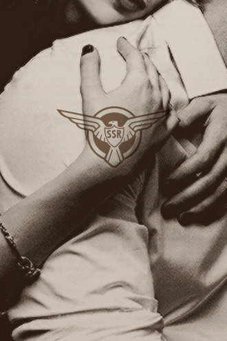 英雄花和覆盆子派