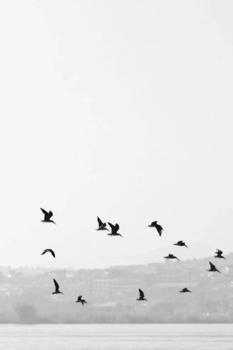 【叛逆者】三十年间一世更