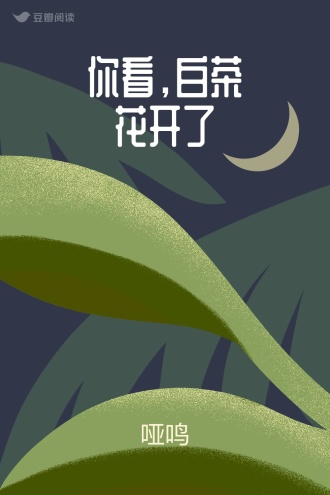 你看，白茶花开了