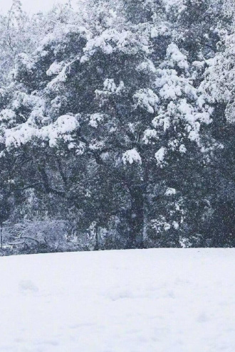 【叛逆者】小团圆