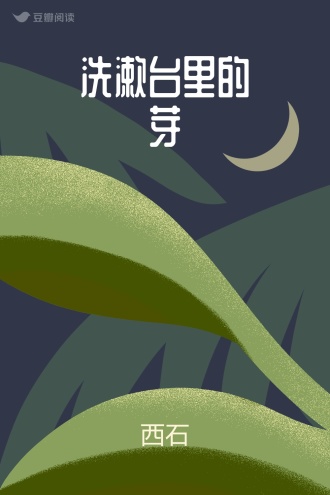 洗漱台里的芽
