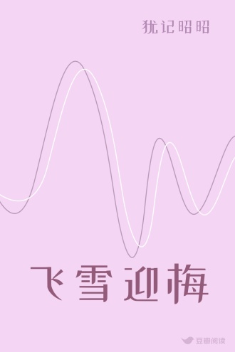 飞雪迎梅