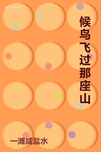 候鸟飞过那座山