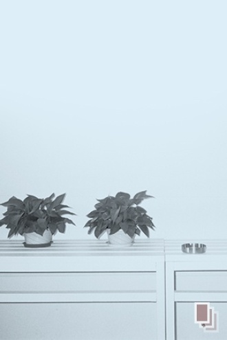 瞧，这些年轻人