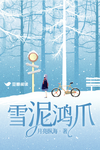 雪泥鸿爪